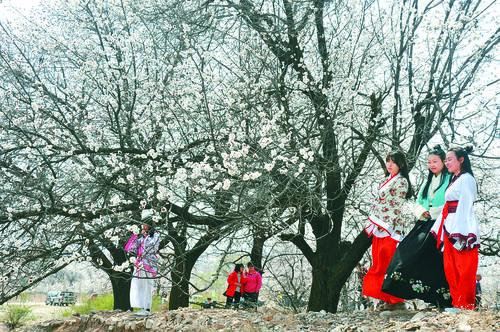 即时比分旧版界面预览